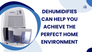 Dehumidifies Can Help You Achieve the Perfect Home Environment