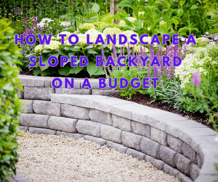 How to Landscape a Sloped Backyard on a Budget