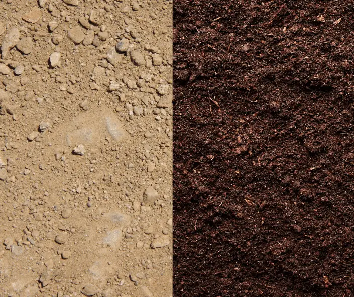 Fill Dirt vs Top Soil