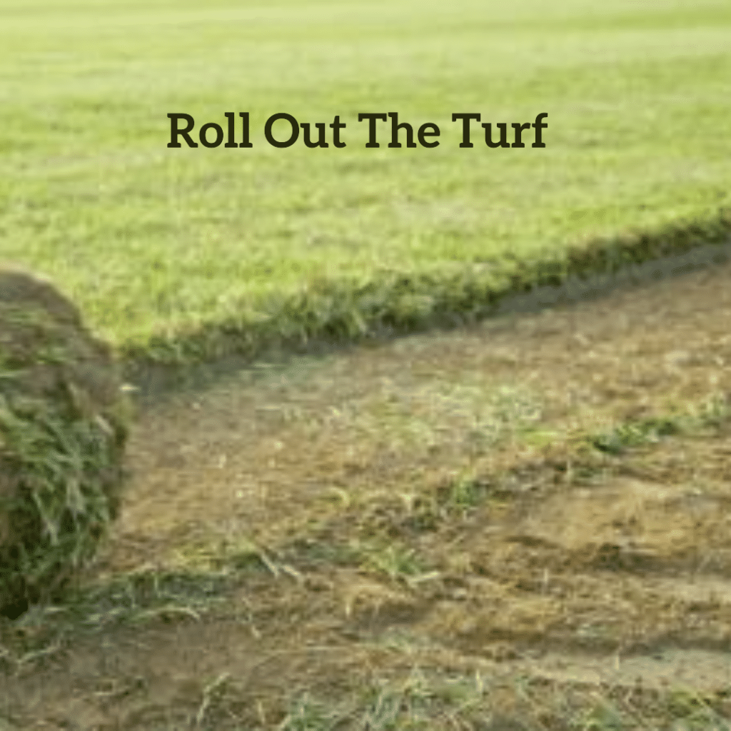 Roll Out The Turf